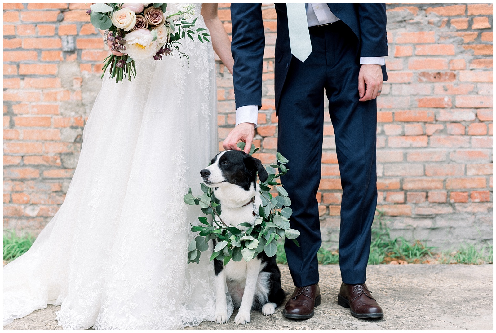 dog in wedding photos